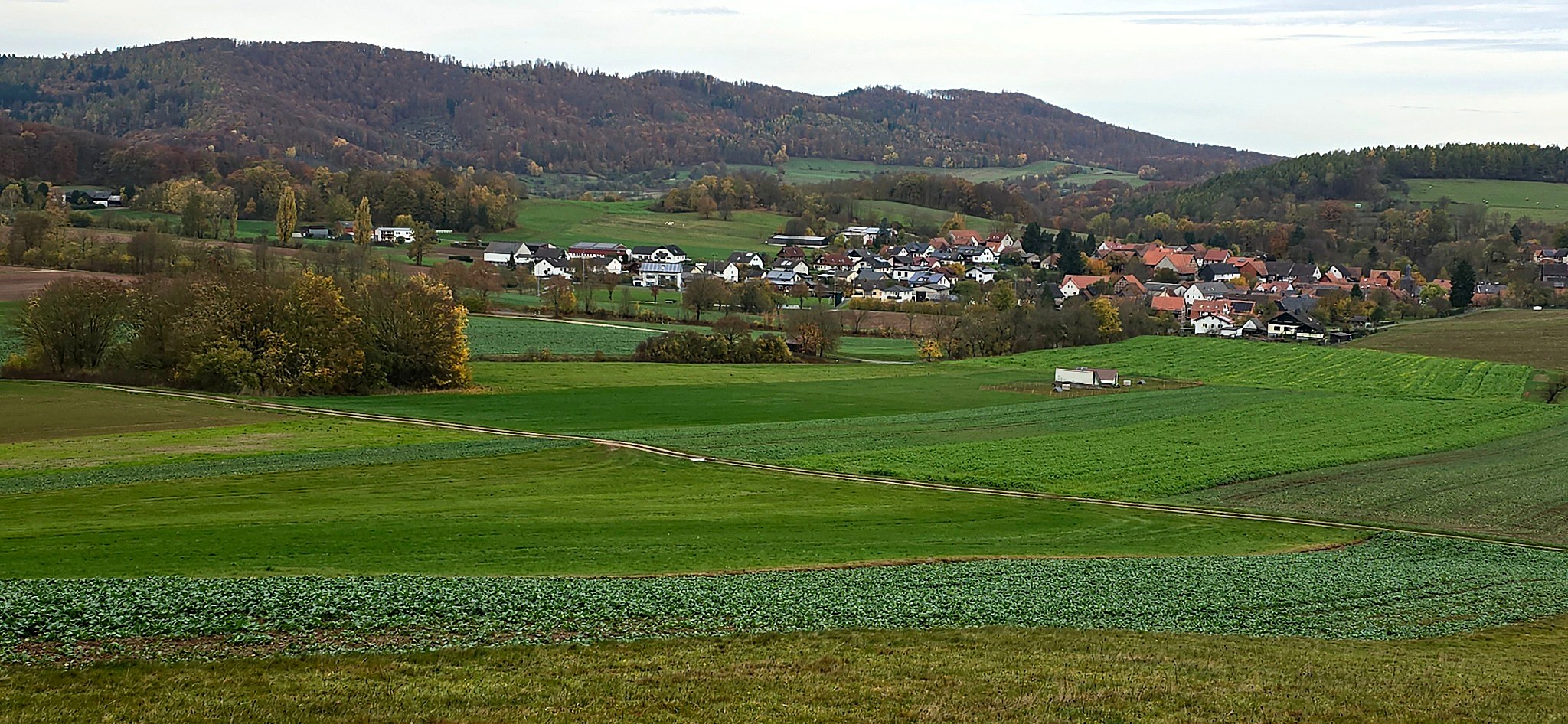 Panoramablick über Kammerbach mit Feldern, Wald und Häusern